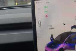 Thumbnail 15