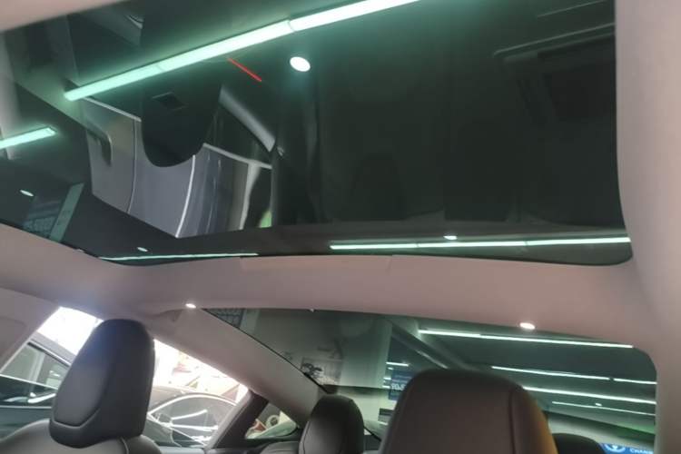 Used Tesla Model 3 2023 Rear-Wheel-Drive Version Headliner