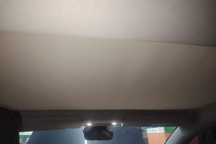 Used Tesla Model 3 2023 Rear-Wheel-Drive Version Headliner