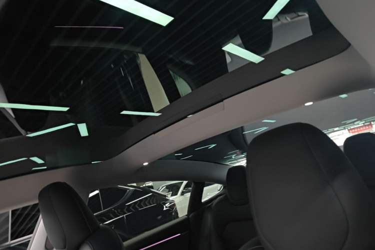 Used Tesla Model 3 2023 Rear-Wheel-Drive Version Headliner