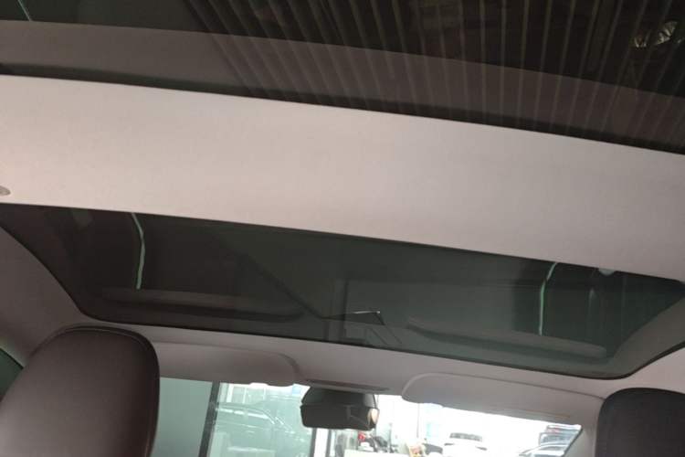 Used Tesla Model 3 2023 Rear-Wheel-Drive Version Headliner