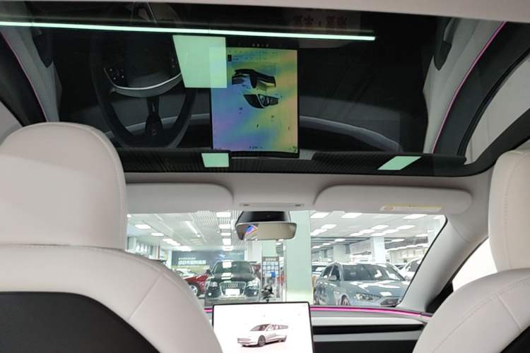 Used Tesla Model 3 2023 Rear-Wheel-Drive Version Headliner
