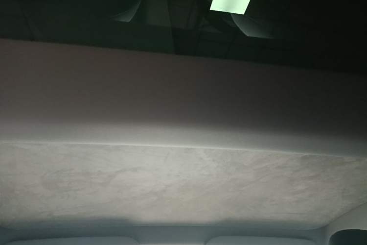 Used Tesla Model 3 2023 Rear-Wheel-Drive Version Headliner