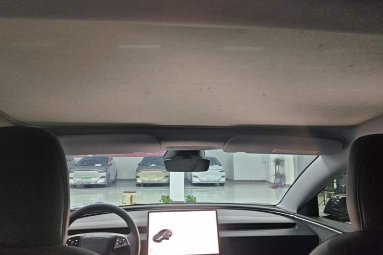 Used Tesla Model 3 2023 Rear-Wheel-Drive Version Headliner