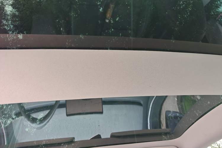 Used Tesla Model 3 2023 Rear-Wheel-Drive Version Headliner