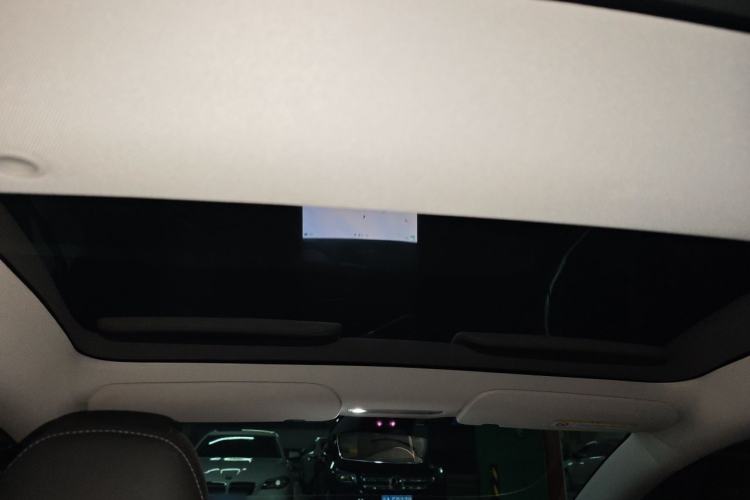 Used Tesla Model 3 2023 Rear-Wheel-Drive Version Headliner