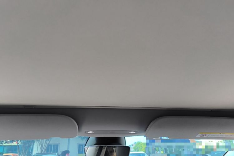 Used Tesla Model 3 2023 Rear-Wheel-Drive Version Headliner