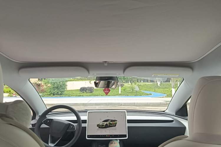 Used Tesla Model 3 2023 Rear-Wheel-Drive Version Headliner