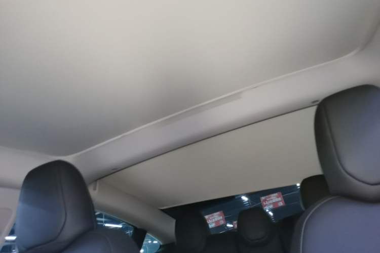 Used Tesla Model 3 2023 Rear-Wheel-Drive Version Headliner