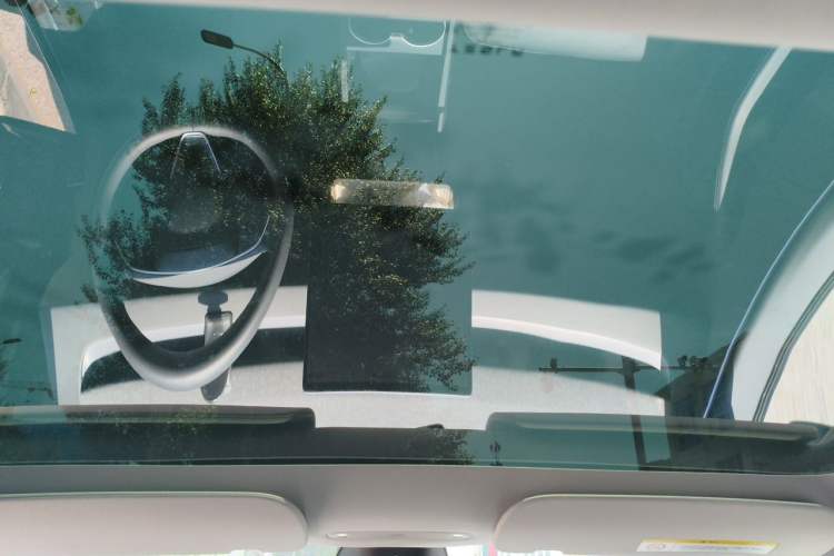Used Tesla Model 3 2023 Rear-Wheel-Drive Version Headliner