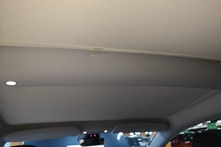 Used Tesla Model 3 2023 Rear-Wheel-Drive Version Headliner