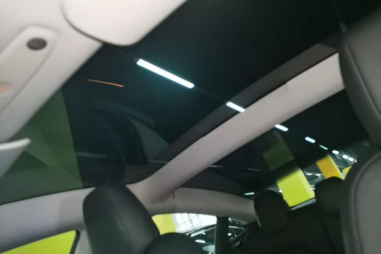 Used Tesla Model 3 2023 Rear-Wheel-Drive Version Headliner
