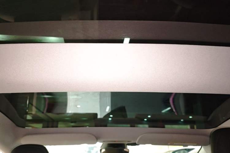 Used Tesla Model 3 2023 Rear-Wheel-Drive Version Headliner