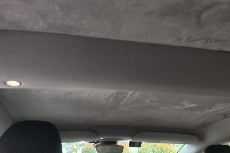 Used Tesla Model 3 2023 Rear-Wheel-Drive Version Headliner