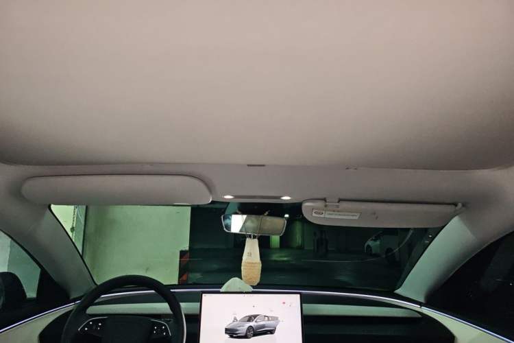 Used Tesla Model 3 2023 Rear-Wheel-Drive Version Headliner