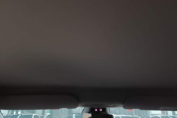 Used Tesla Model 3 2023 Rear-Wheel-Drive Version Headliner