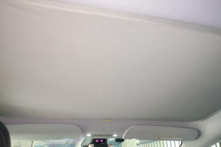 Used Tesla Model 3 2023 Long-Range All-Wheel-Drive Version Headliner