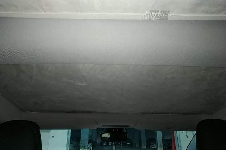 Used Tesla Model 3 2023 Rear-Wheel-Drive Version Headliner