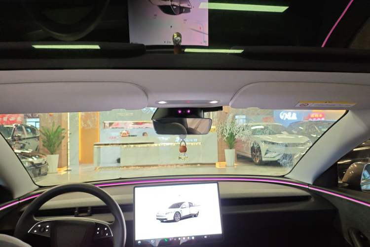 Used Tesla Model 3 2023 Long-Range All-Wheel-Drive Version Headliner
