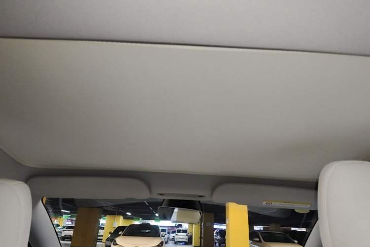 Used Tesla Model 3 2023 Rear-Wheel-Drive Version Headliner