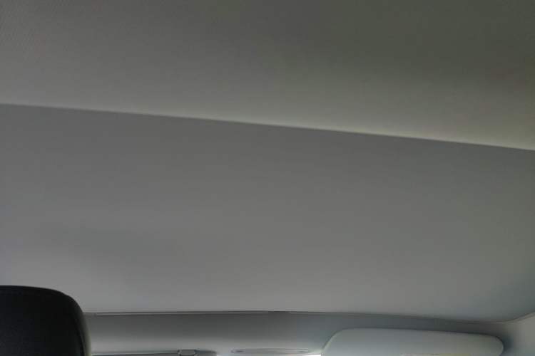 Used Tesla Model 3 2023 Rear-Wheel-Drive Version Headliner