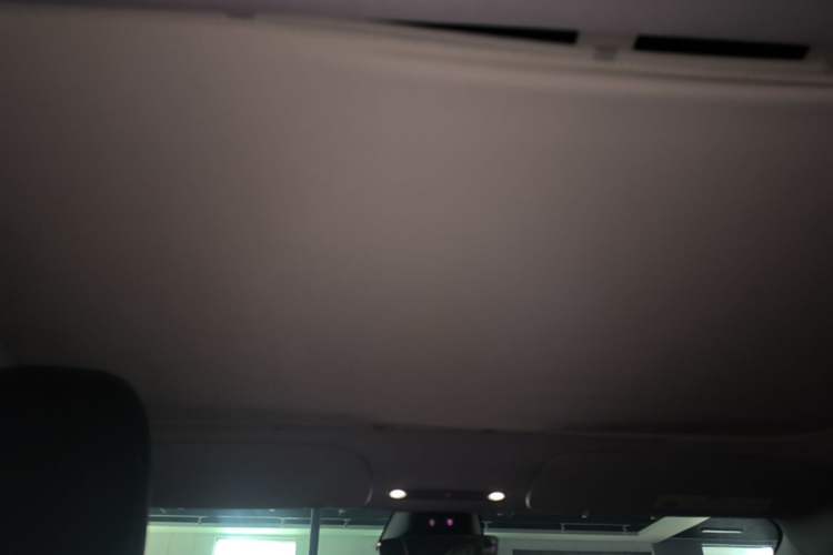 Used Tesla Model 3 2023 Rear-Wheel-Drive Version Headliner