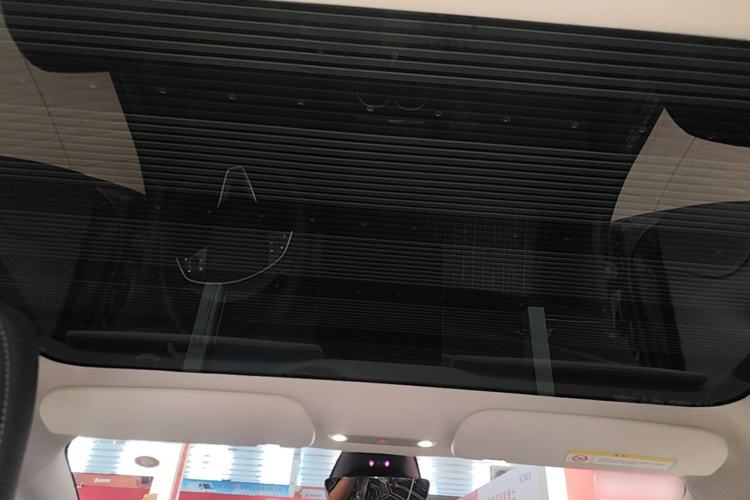 Used Tesla Model 3 2023 Rear-Wheel-Drive Version Headliner