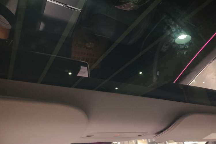 Used Tesla Model 3 2023 Long-Range All-Wheel-Drive Version Headliner