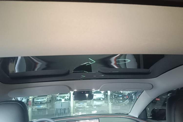 Used Tesla Model 3 2023 Rear-Wheel-Drive Version Headliner