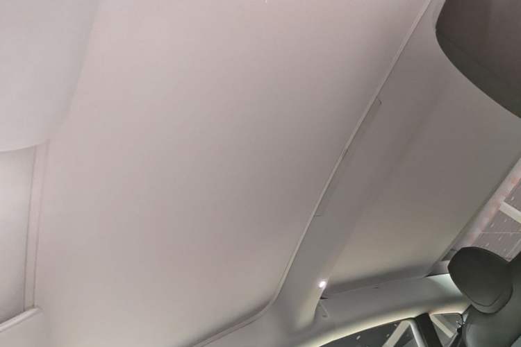 Used Tesla Model 3 2023 Rear-Wheel-Drive Version Headliner