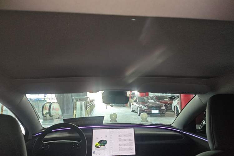 Used Tesla Model 3 2023 Rear-Wheel-Drive Version Headliner