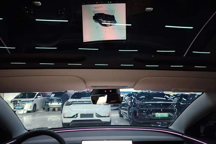 Used Tesla Model 3 2023 Rear-Wheel-Drive Version Headliner