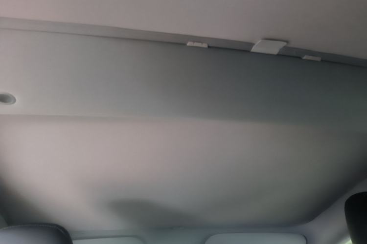 Used Tesla Model 3 2023 Long-Range All-Wheel-Drive Version Headliner