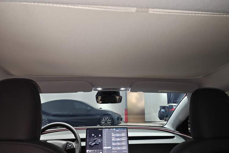 Used Tesla Model 3 2023 Rear-Wheel-Drive Version Headliner