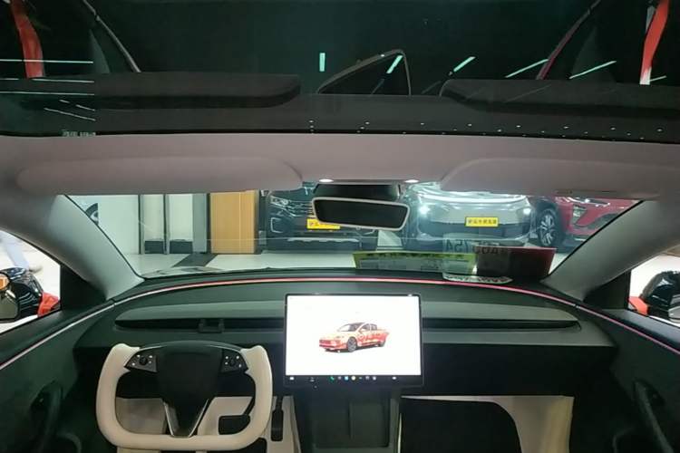 Used Tesla Model 3 2023 Rear-Wheel-Drive Version Headliner
