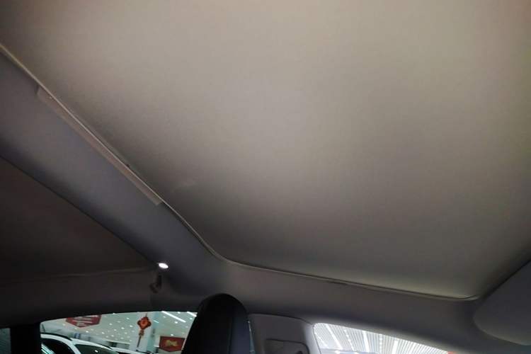 Used Tesla Model 3 2023 Rear-Wheel-Drive Version Headliner