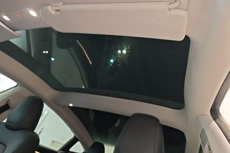 Used Tesla Model 3 2023 Rear-Wheel-Drive Version Headliner
