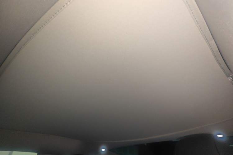 Used Tesla Model 3 2023 Rear-Wheel-Drive Version Headliner