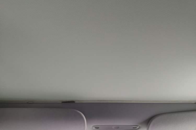 Used Tesla Model 3 2023 Rear-Wheel-Drive Version Headliner