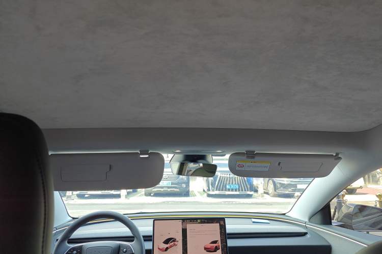 Used Tesla Model 3 2023 Rear-Wheel-Drive Version Headliner
