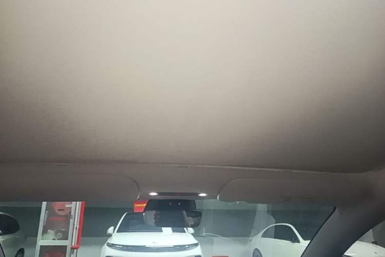Used Tesla Model 3 2023 Rear-Wheel-Drive Version Headliner