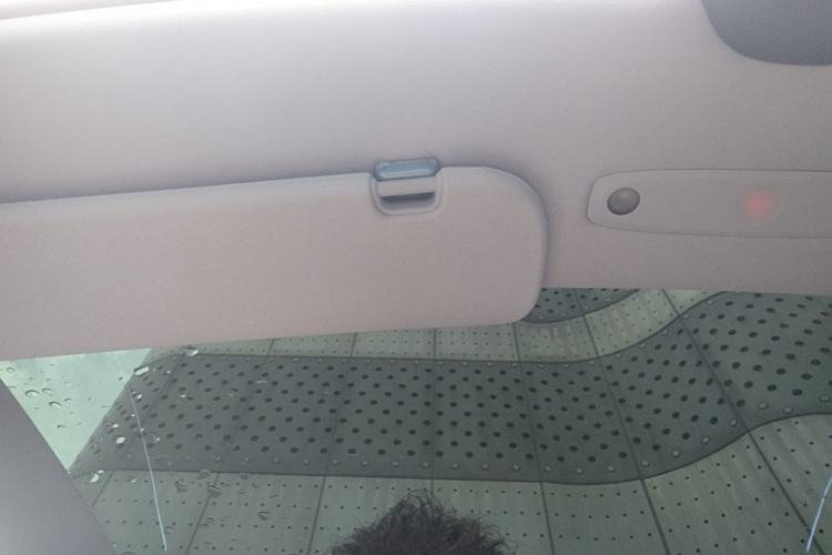Used Tesla Model 3 2023 Rear-Wheel-Drive Version Headliner