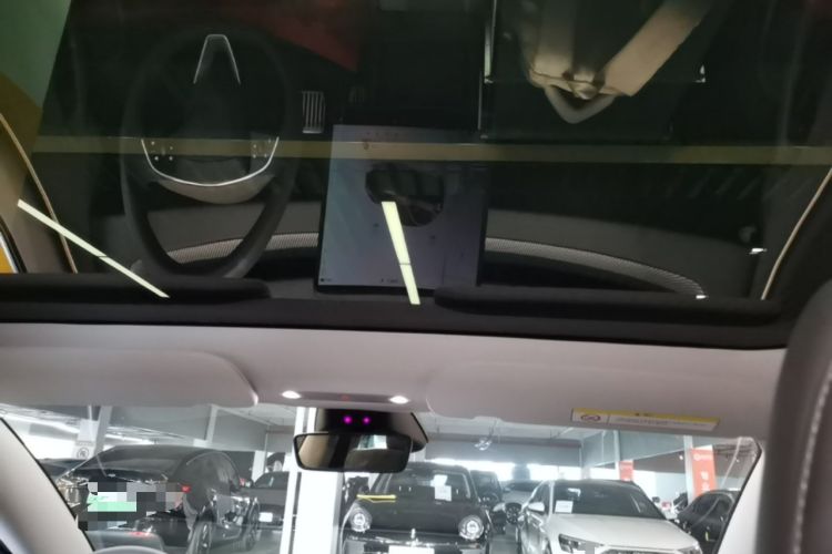 Used Tesla Model 3 2023 Rear-Wheel-Drive Version Headliner