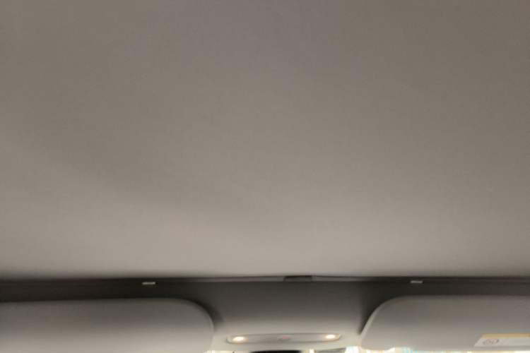 Used Tesla Model 3 2023 Rear-Wheel-Drive Version Headliner