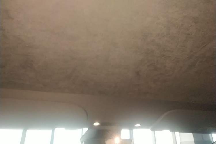 Used Tesla Model 3 2023 Long-Range All-Wheel-Drive Version Headliner
