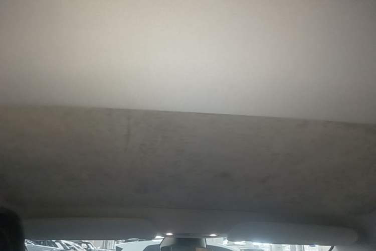 Used Tesla Model 3 2023 Rear-Wheel-Drive Version Headliner