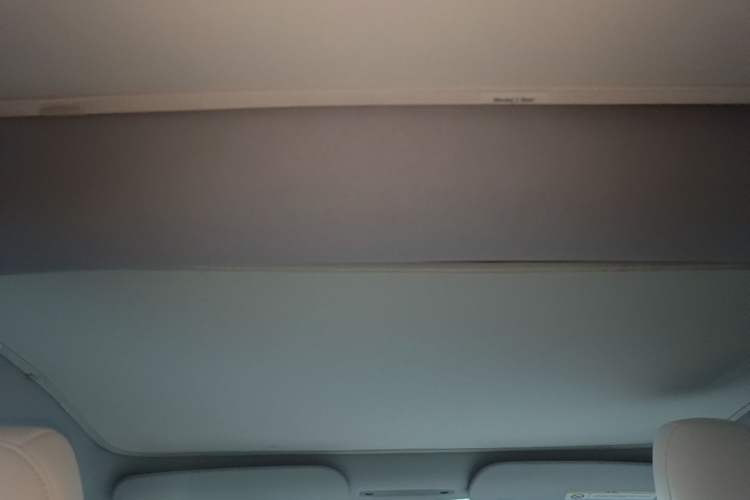 Used Tesla Model 3 2023 Rear-Wheel-Drive Version Headliner