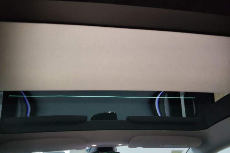 Used Tesla Model 3 2023 Rear-Wheel-Drive Version Headliner