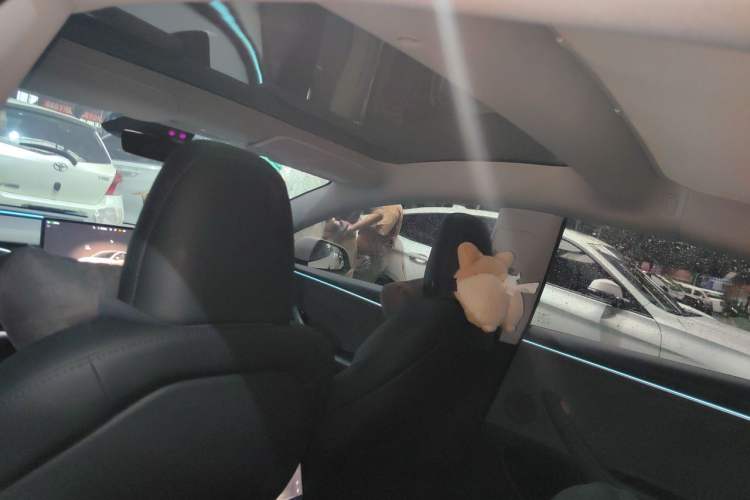 Used Tesla Model 3 2023 Rear-Wheel-Drive Version Headliner