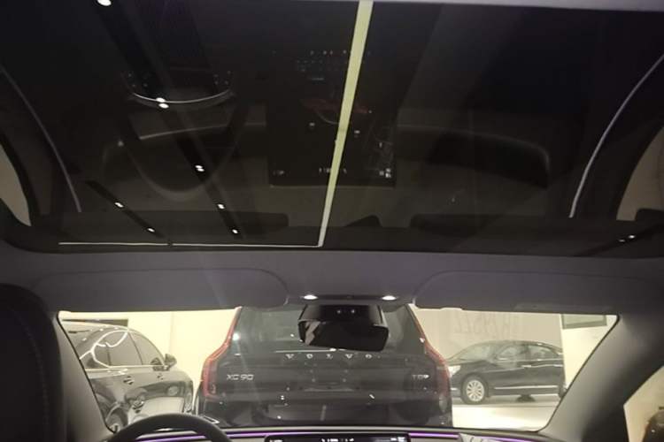 Used Tesla Model 3 2023 Rear-Wheel-Drive Version Headliner